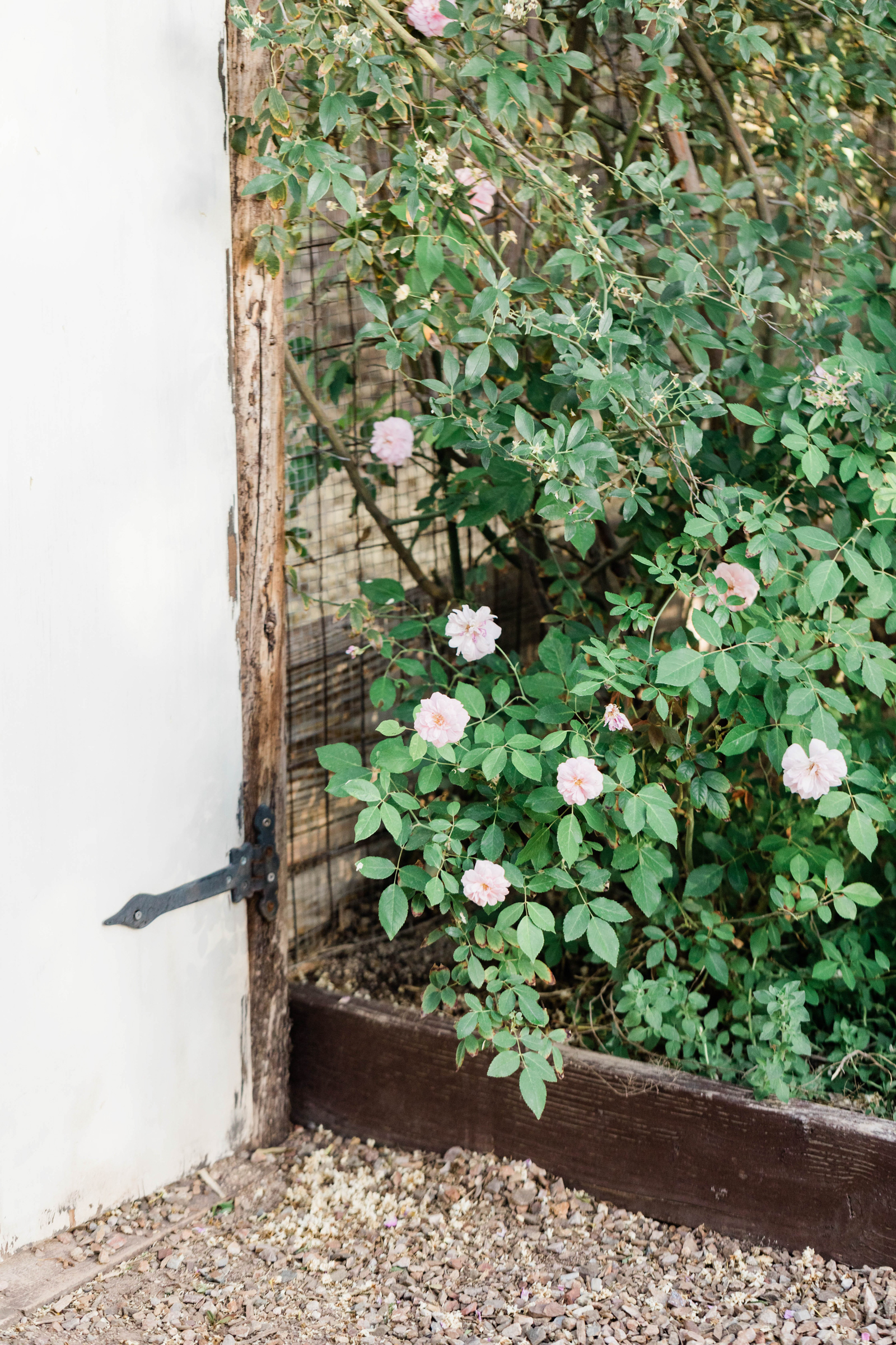 creative woman working on multiple hobbies representing a scanner personality